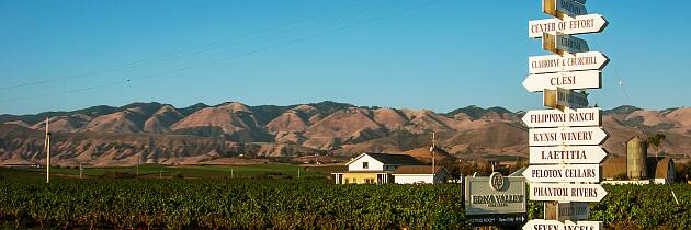 Lær alt om hvorfor californiske viner er så populære nå. Master of Wine, Mai Tjemsland tar deg med på en smaksrunde