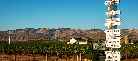 Lær alt om hvorfor californiske viner er så populære nå. Master of Wine, Mai Tjemsland tar deg med på en smaksrunde