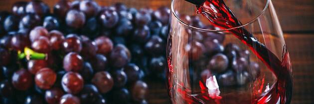 Lær alt om hvorfor de beste vinene fra Burgund er så ettertraktet - selvsagt får du smake dem både i rødt og hvitt