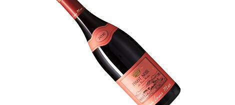 Rødt vårlig pinot noir-knallkjøp i basis