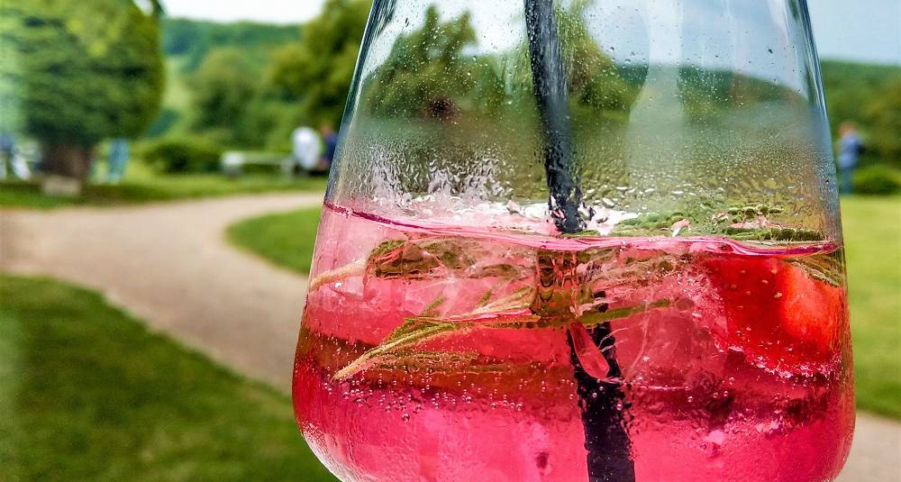 Pink gin tonic