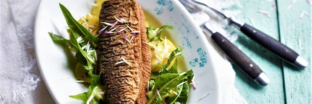 Nystekt sild med nypotetsalat - det er sommermat det