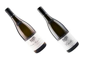 Nyt chablis mens den fortsatt er tilgjengelig – disse er helt i toppsjiktet