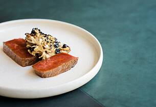 Dette får du på Københavns nyeste Michelin-stjernerestaurant