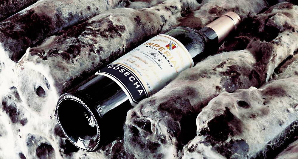 Det er en god grunn til at disse Rioja-vinene er så populære i Norge: De smaker fantastisk godt. Det kan du også oppleve