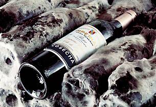 Det er en god grunn til at disse Rioja-vinene er så populære i Norge: De smaker fantastisk godt. Det kan du også oppleve