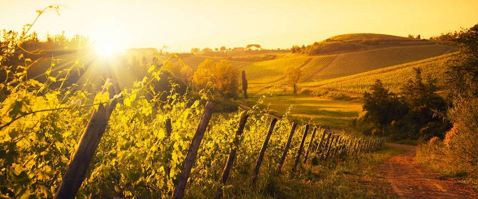 Lurer du på hvorfor Brunello di Montalcino er så ettertraktet? Det får du smake på denne kvelden - samt mye annet