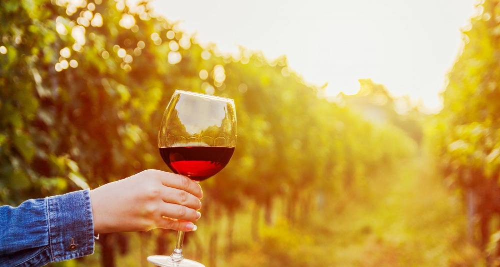 Lær om Italias viner av Master of Wine, Mai Tjemsland