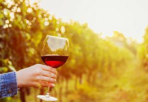 Lær om Italias viner av Master of Wine, Mai Tjemsland