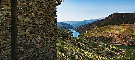 Derfor er Douro blitt den nye kilden til friske viner