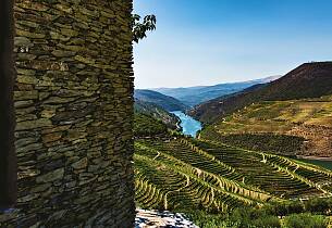 Derfor er Douro blitt den nye kilden til friske viner