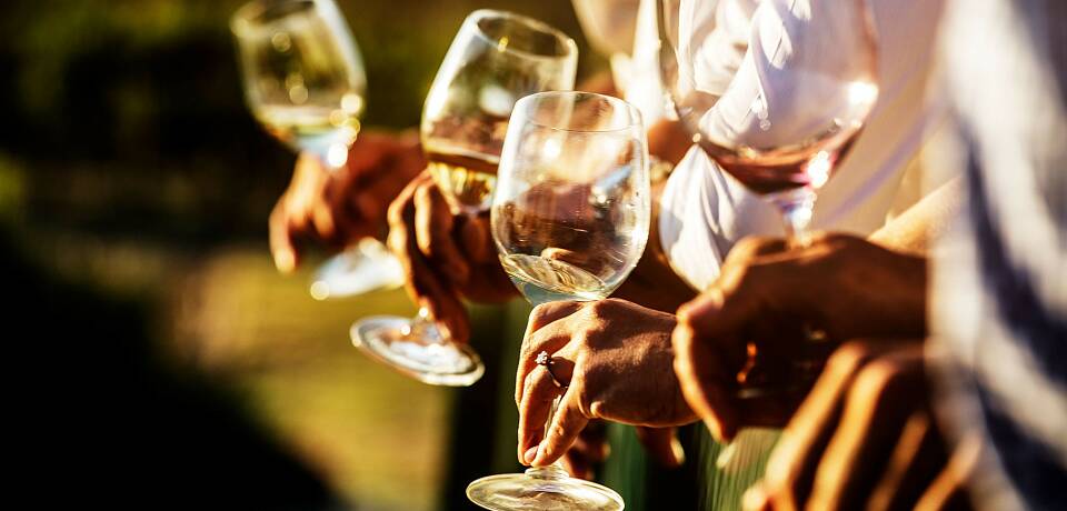 Sør-Afrika er det aller heteste på vinfronten for tiden. Smak deg gjennom nærmere 90 viner på toppnivå