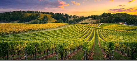Enestående smaking av viner fra Australias beste produsenter