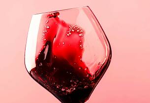 Smak 11 viner fra Ribera og Rioja