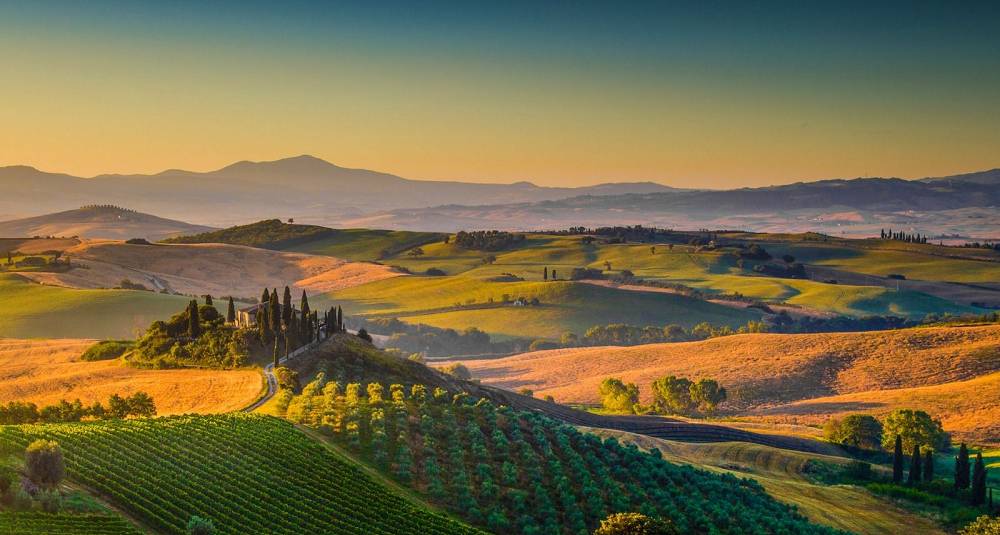 Smak det beste Toscana har å by på - fra lekre Chianti Classico til flotte Brunello di Montalcino