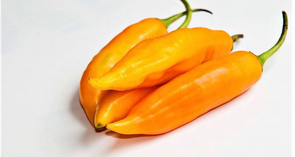 Aji amarillo  - gul chilipasta