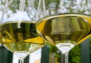 Smak fantastiske rieslinger fra en av Rheinhessens mest geniale produsenter - inkludert en ytterst sjelden godbit