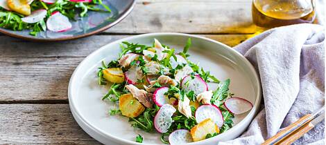 En pakke varmrøkt makrell og nypoteter blir til en ekstra smaksrik og sommerlig lun salat