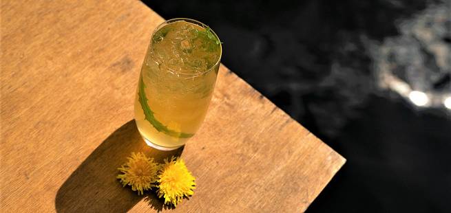 Løvetann - en naturnær drink med akevitt og løvetannsirup