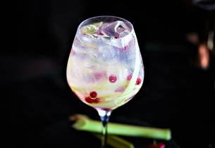 Gin tonic med rabarbra