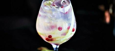 Gi gin tonicen et ekstra løft med rabarbra fra hagen