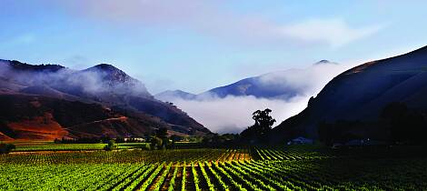 Smak herlig californisk pinot noir og chardonnay fra en ikonisk vinmaker