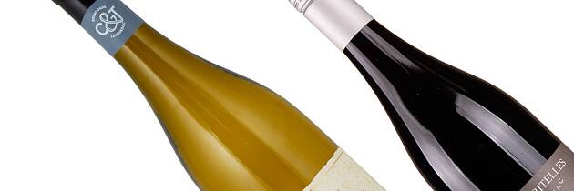 Her får du både usedvanlig mye chardonnay og bordeauxkarakter for pengene