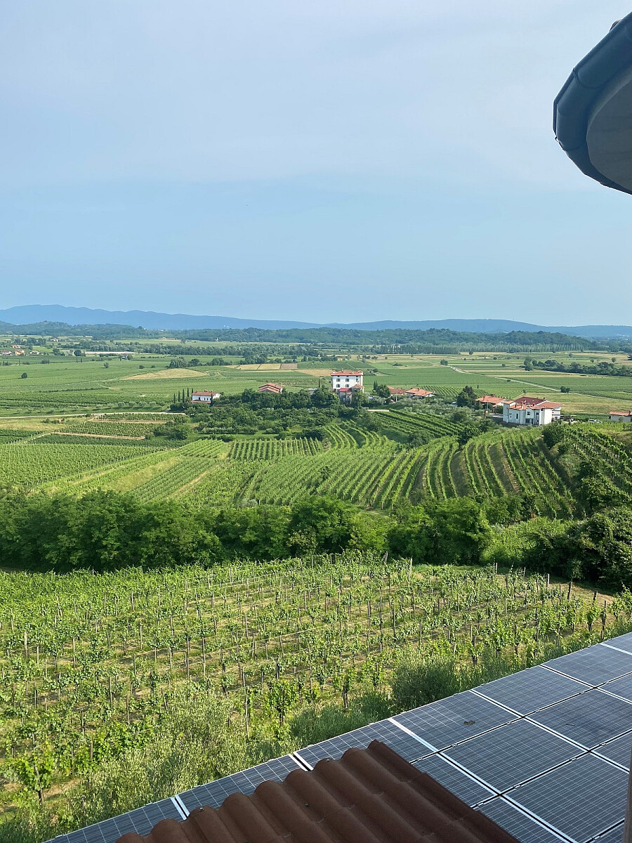 Movai har i alt 22 hektar på grensen mellom Italia og Slovenia.jpg [834.15 KB]