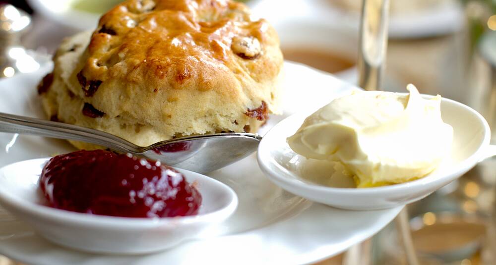 Clotted cream til scones og afternoon tea