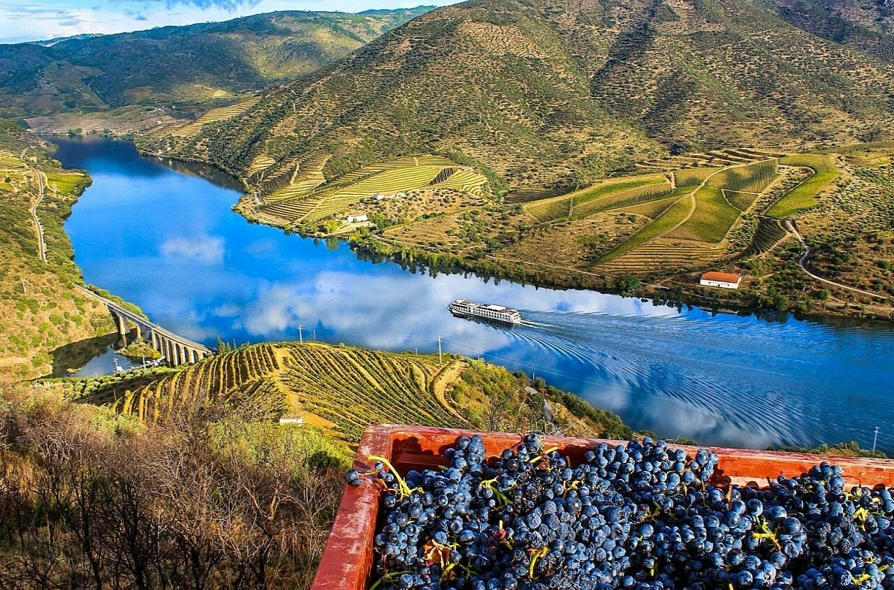 Dourodalen byr på et enormt mangfold lokale druer