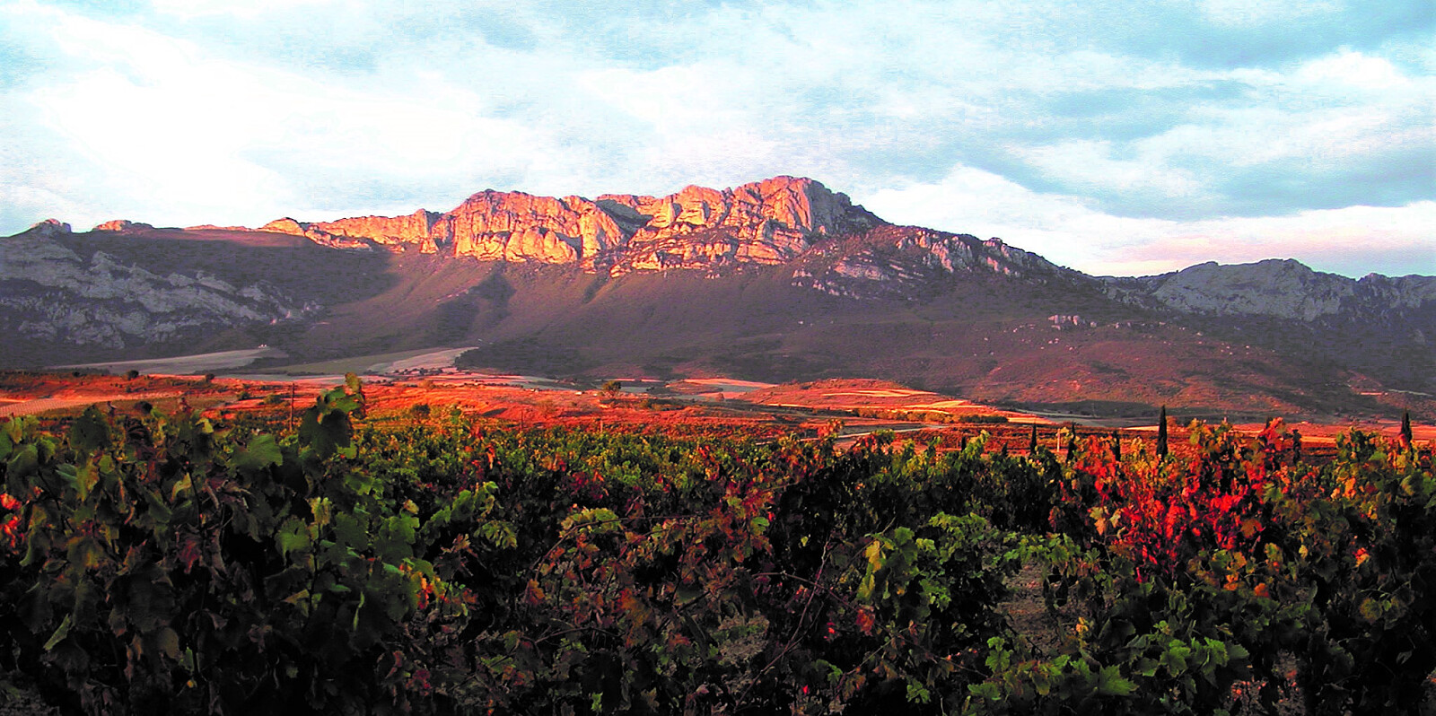 Rioja Alta