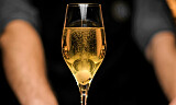 Champagne Cocktail til nyttårsaften