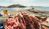 Prøv noe helt nytt til skalldyrene. Surøl er som skapt for å matche sommerfavorittene - og her får du forslagene