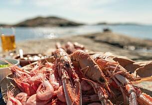 Prøv noe helt nytt til skalldyrene. Surøl er som skapt for å matche sommerfavorittene - og her får du forslagene