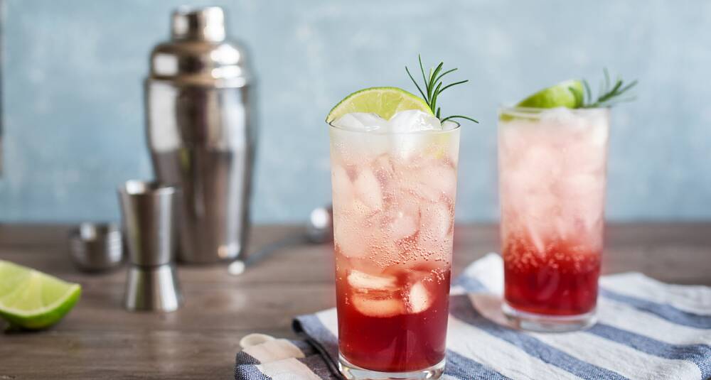 Sloe gin fizz drinkoppskrift