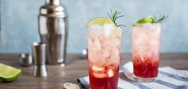 Sloe gin fizz drinkoppskrift