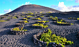 Vin fra Lanzarote er det neste hotte: vær blant de første til å sikre deg disse unike vinene