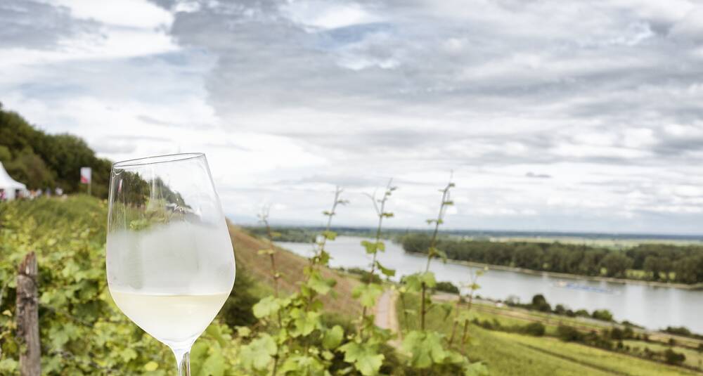 Tomat og krabbe kommer til å overbevise deg om hvilken stjerne kabinettvin er