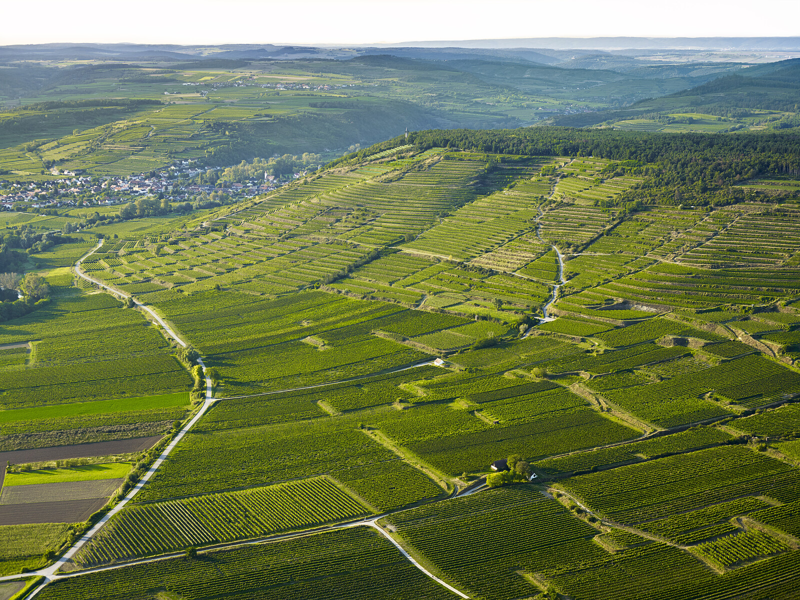 Bründlmayer Ried Zöbinger Heiligenstein and Ried Kammerner Lamm(c)Weingut Bründlmayer_Foto Herbert Lehmann.jpg [8.72 MB]