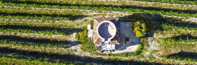 Røverkjøp: I denne baroloen til 439,90 er det også druer fra denne vinmarken