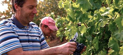 Beste kjøpet på spesialpolet: Denne vinbonden lager barbaresco til fantasipris