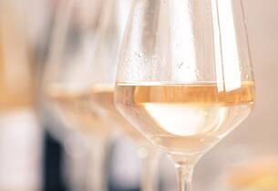 Smak 8 av de beste vinene fra Chablis for kun 495,-