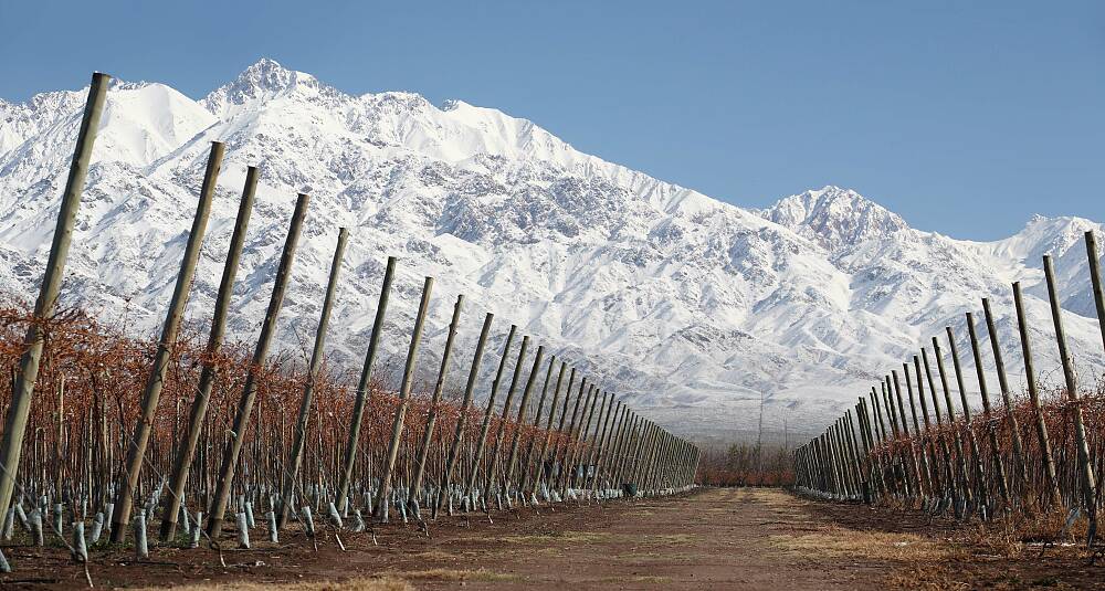 Nyttårstilbud på en smakreise gjennom Chile og Argentina