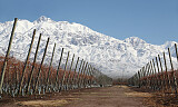 Nyttårstilbud på en smakreise gjennom Chile og Argentina