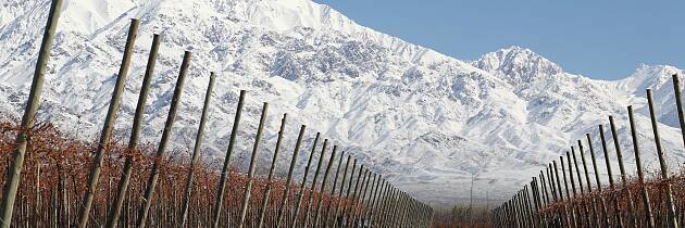 Nyttårstilbud på en smakreise gjennom Chile og Argentina