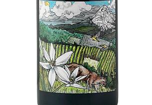 Oregon byr på stadig mer spennende chardonnay og pinot noir