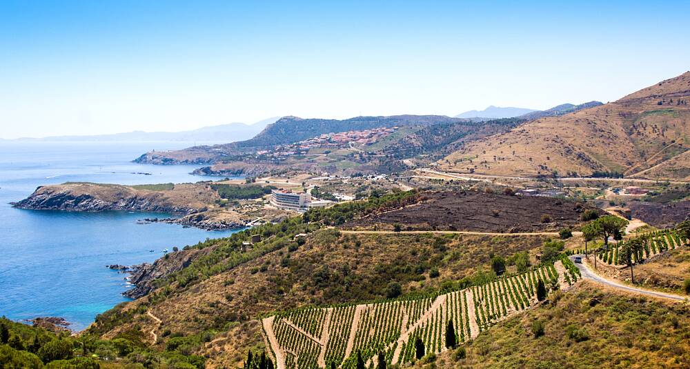 Banyuls er en ukjent eminense