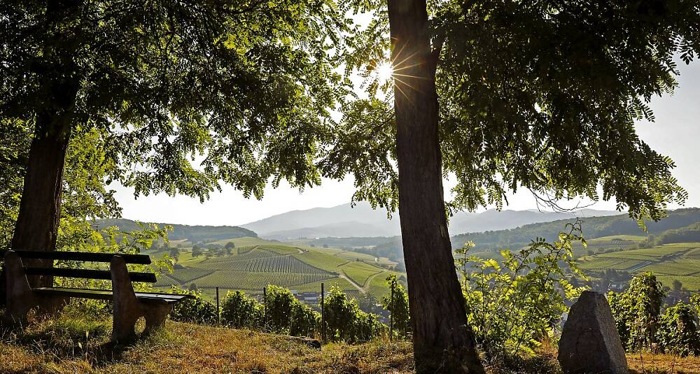 Markgräflerland er Tysklands mest interkulturelle vinregion