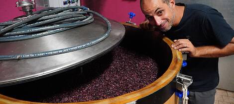 Smak trendy viner fra Piemonte sammen med nydelig mat hos Einbar