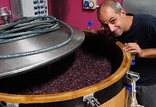 Smak trendy viner fra Piemonte sammen med nydelig mat hos Einbar